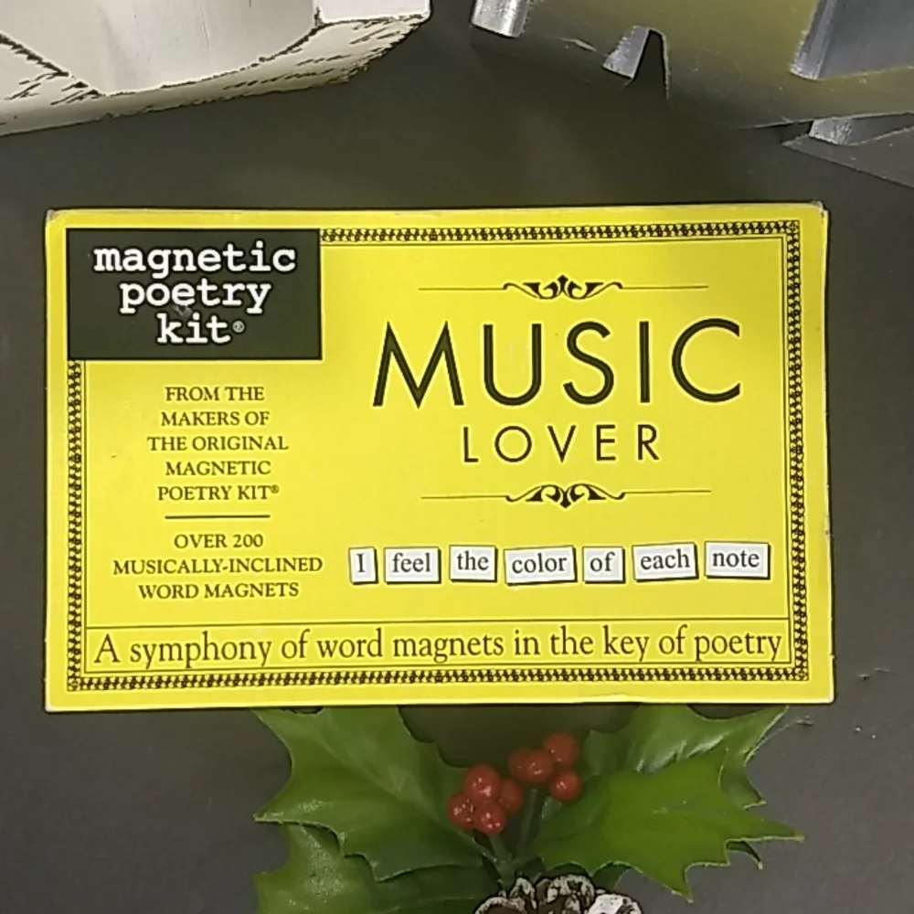 NWT Music Lover ❤️ magnetic poetry kit, over 200 music-themed magnets!